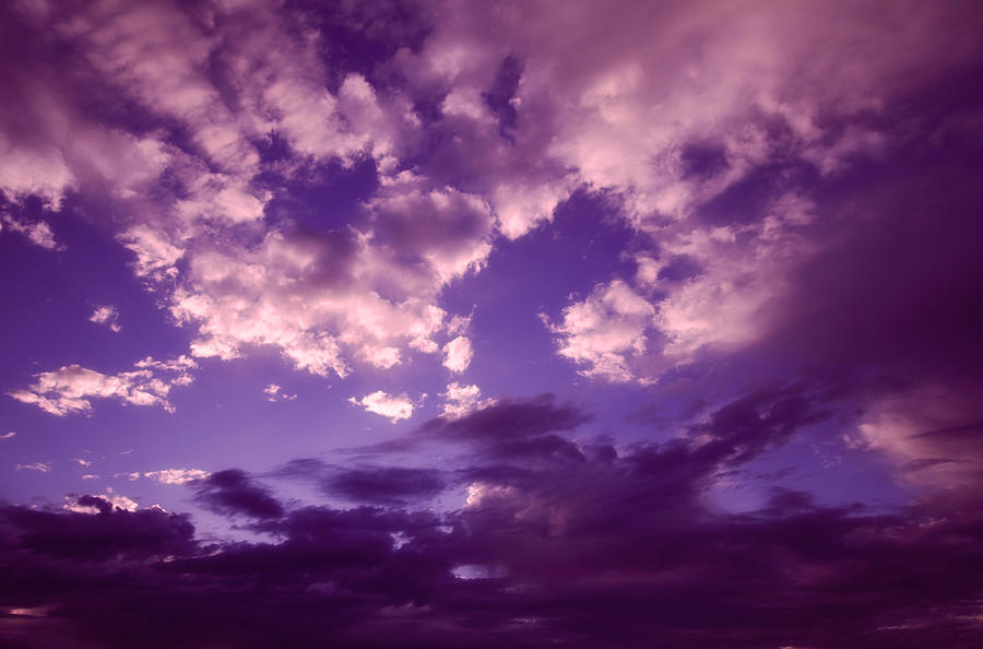 purple-clouds-ariane-moshayedi.jpg