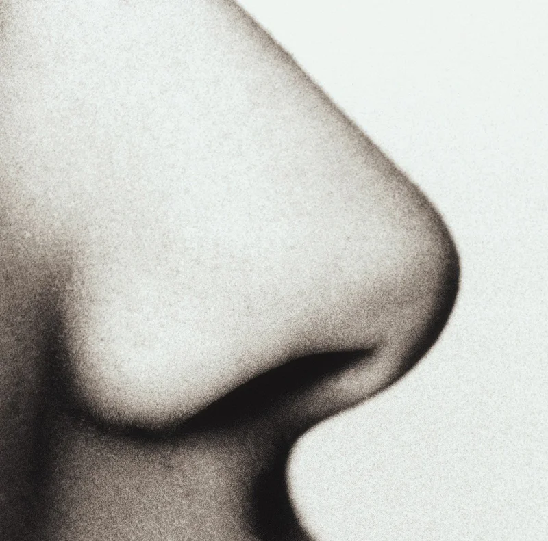 nose2.jpg