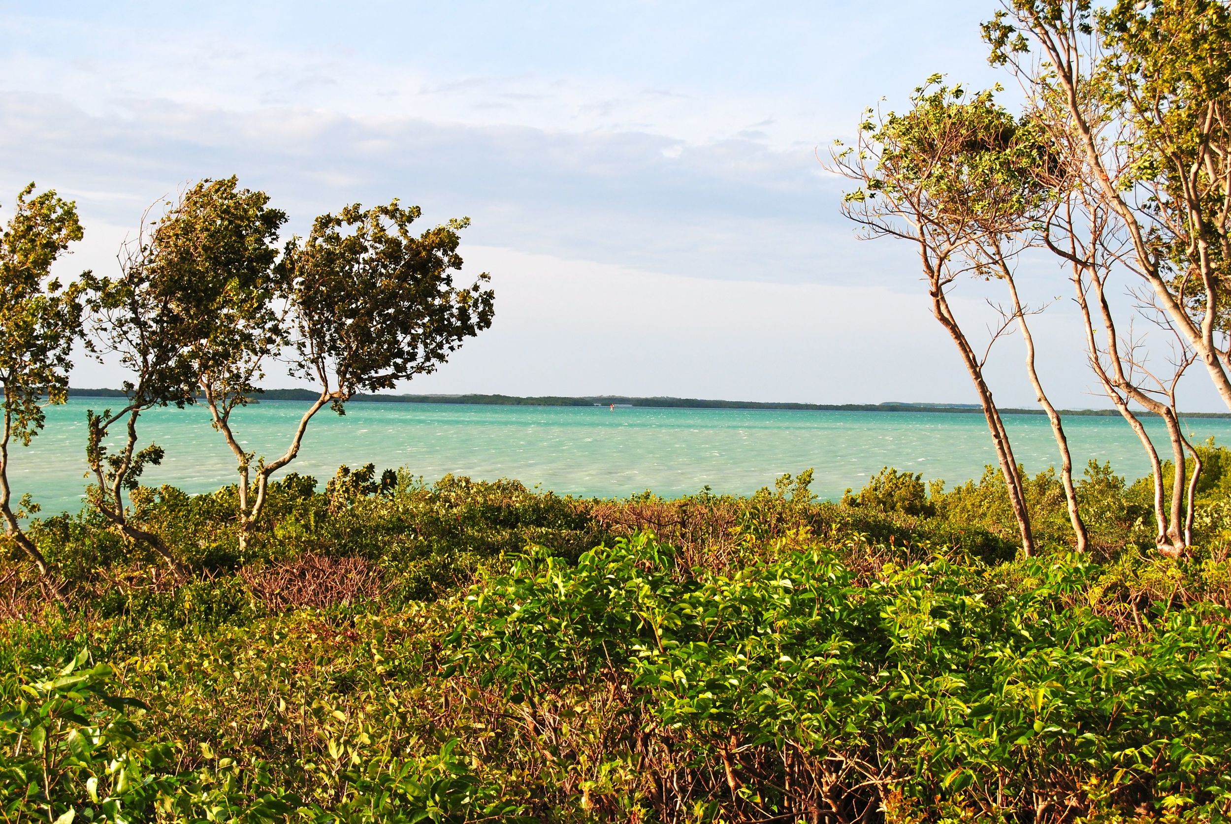 Florida-Keys-Landscape-21.jpg