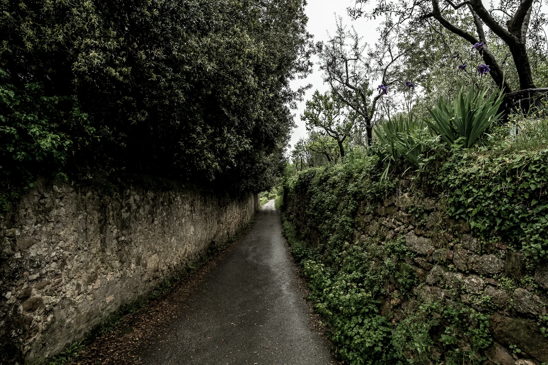 LaBandita-2.jpg