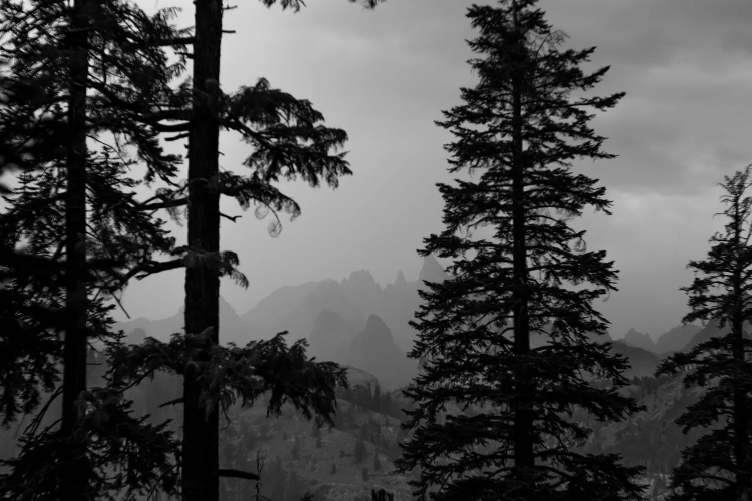 JMT-9.jpg