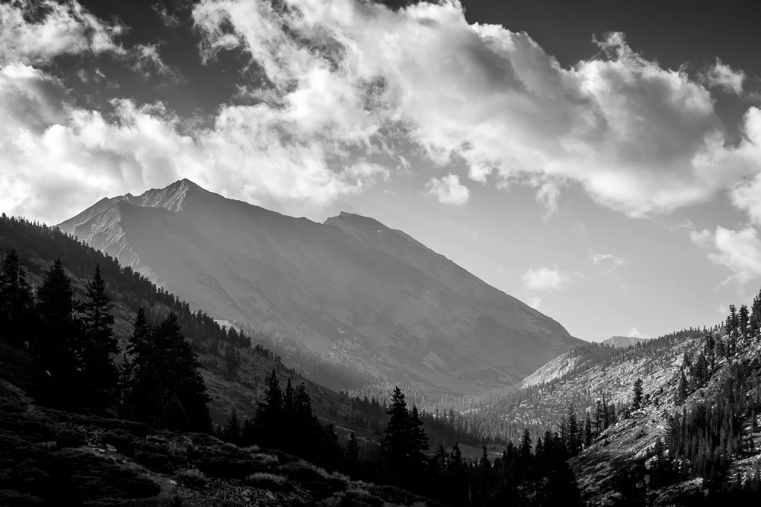 JMT-36.jpg