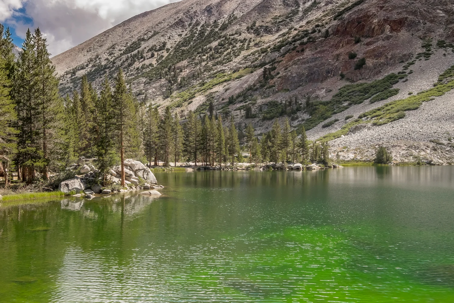 JMT-38.jpg