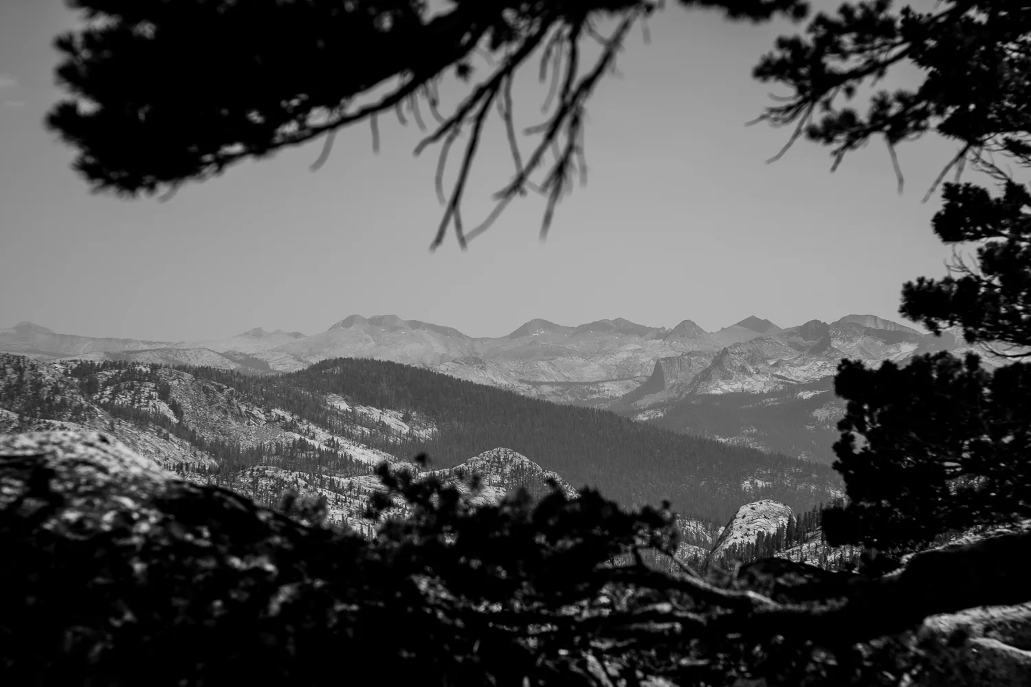 JMT-1.jpg