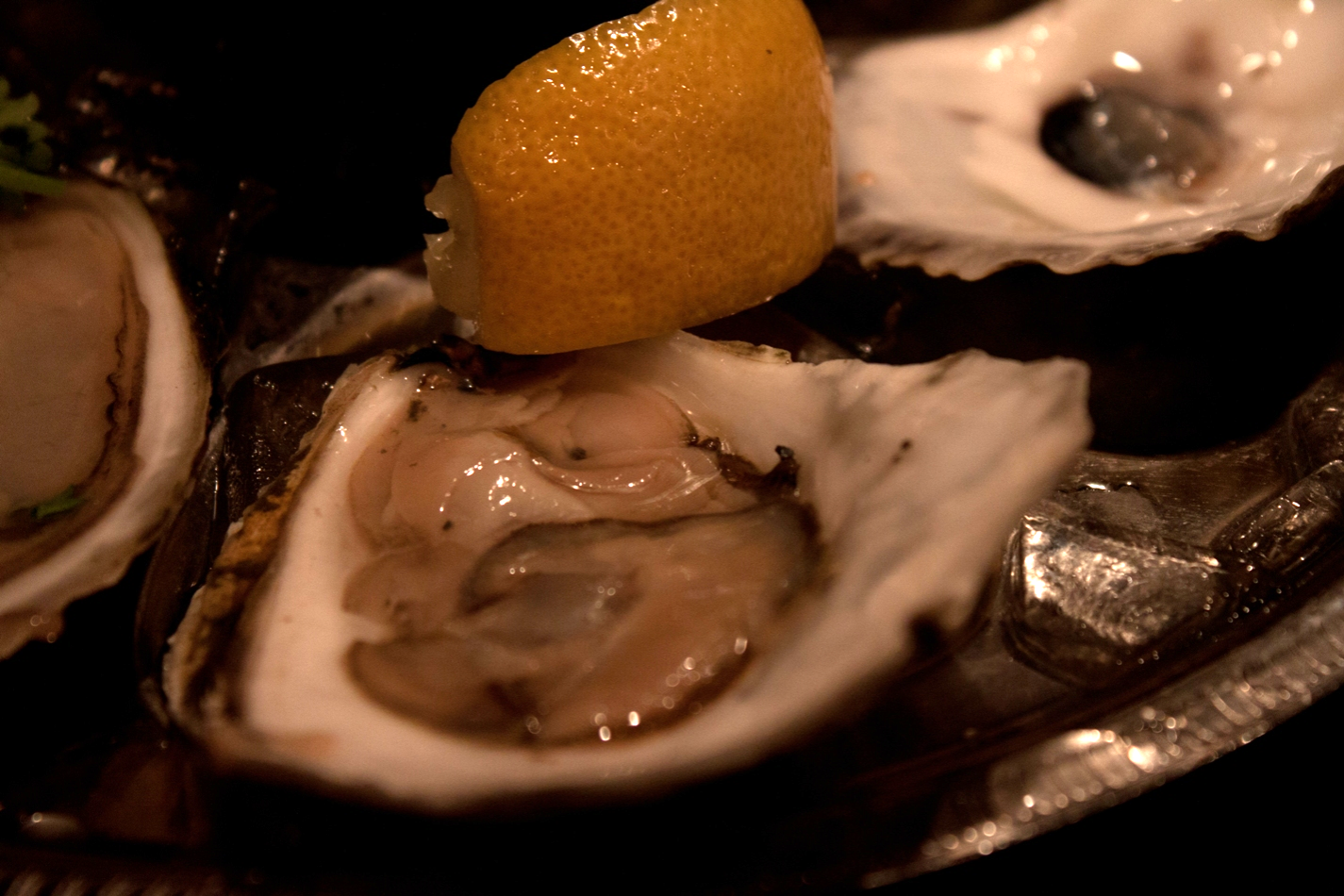 One Oyster.jpg