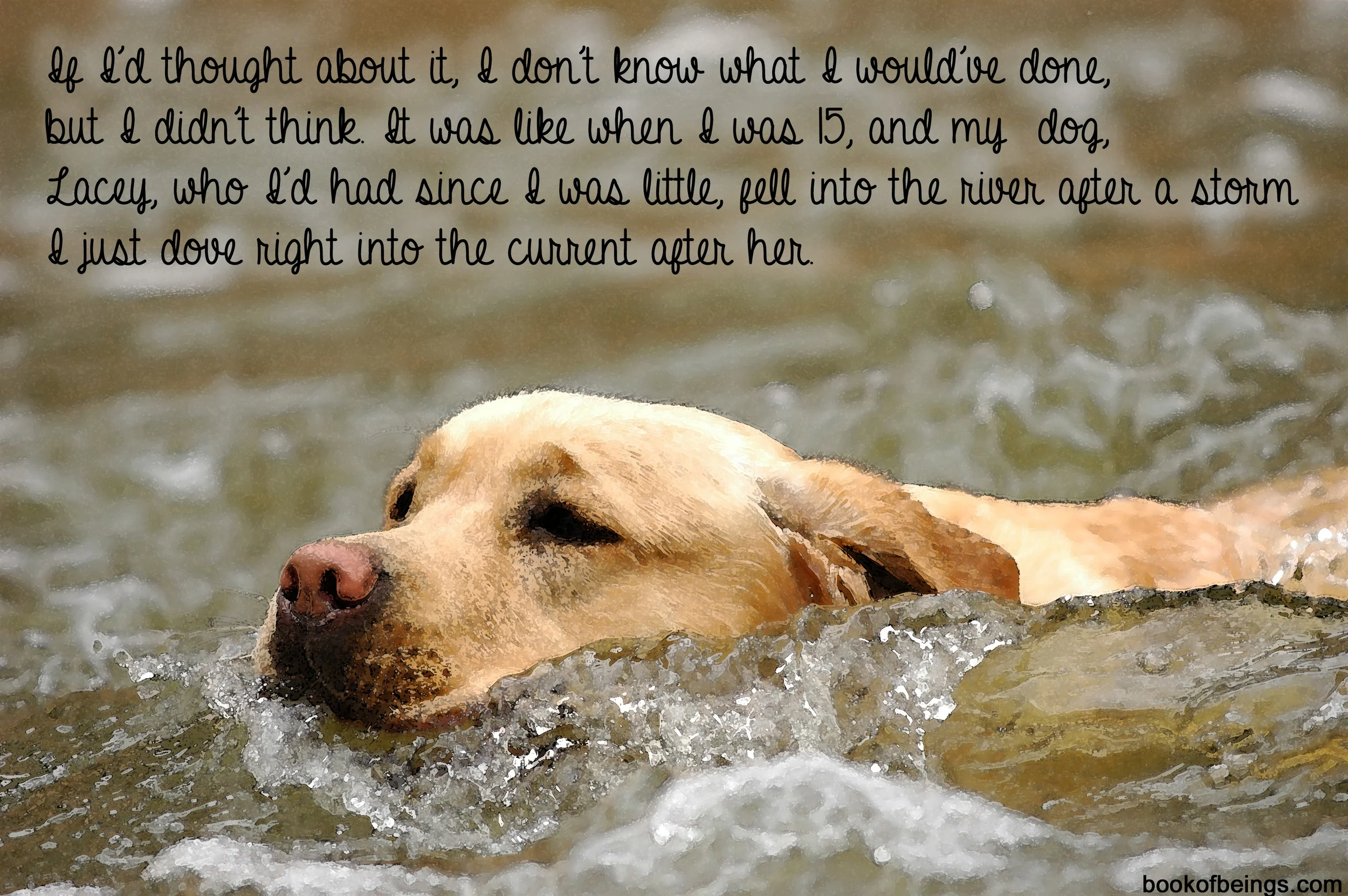 from Chapter 6 If I'd thought about it, I don't know what I would've done, but I didn't think. It was like when I was 15, and my dog, Lacey, who I'd had since I was little, fell into the river after a storm. I just dove right into the current after her. The Book of Beings Read-Along at bookofbeings.com
