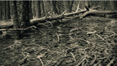 During this project I started understanding how to develop impactful and interesting transitions.