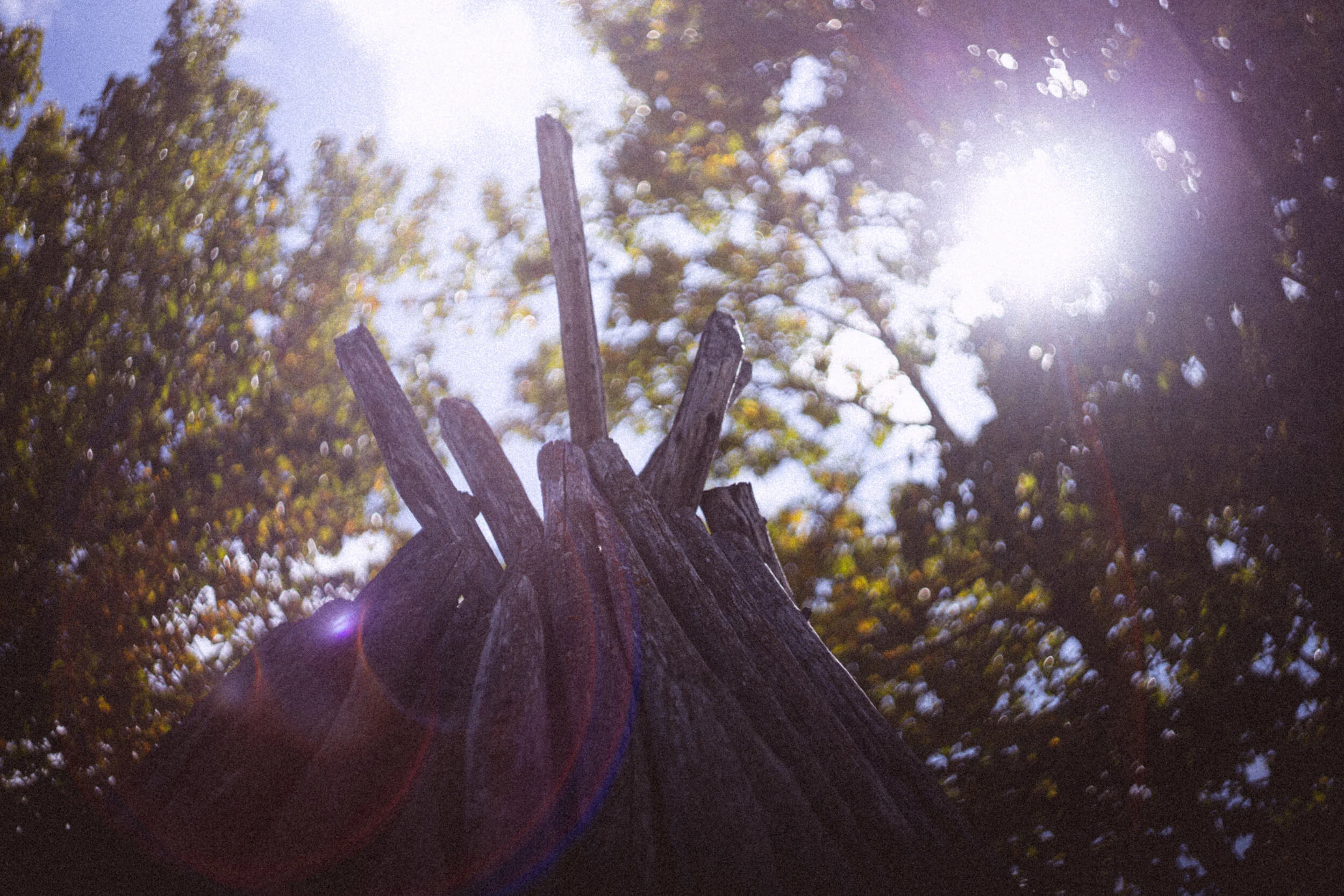 untitled-9948.jpg