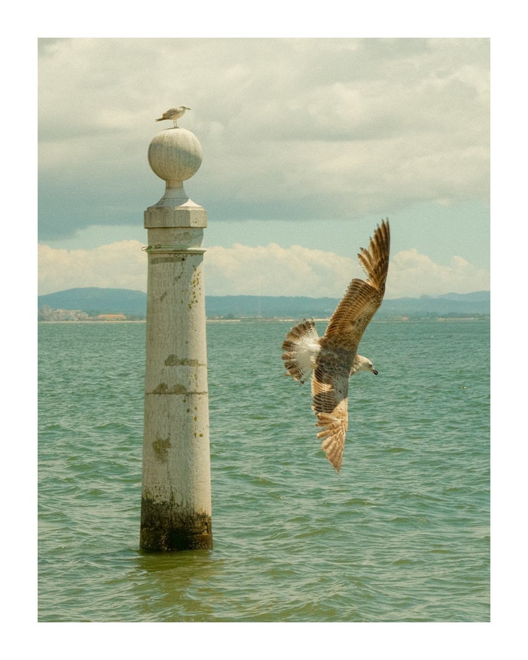 Portugal - Spain - GFX - 13.JPG