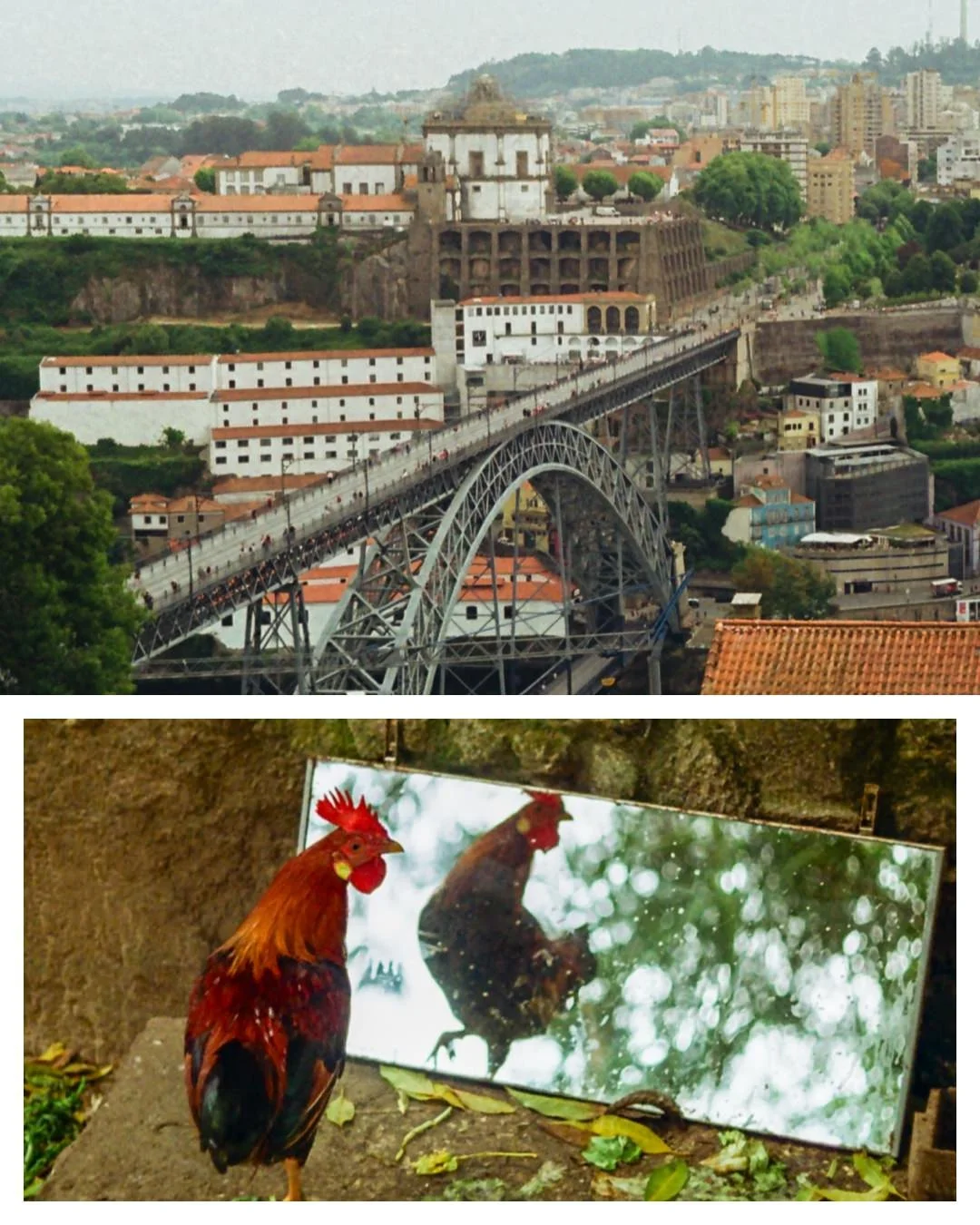 Portugal - 35MM - 12.JPG