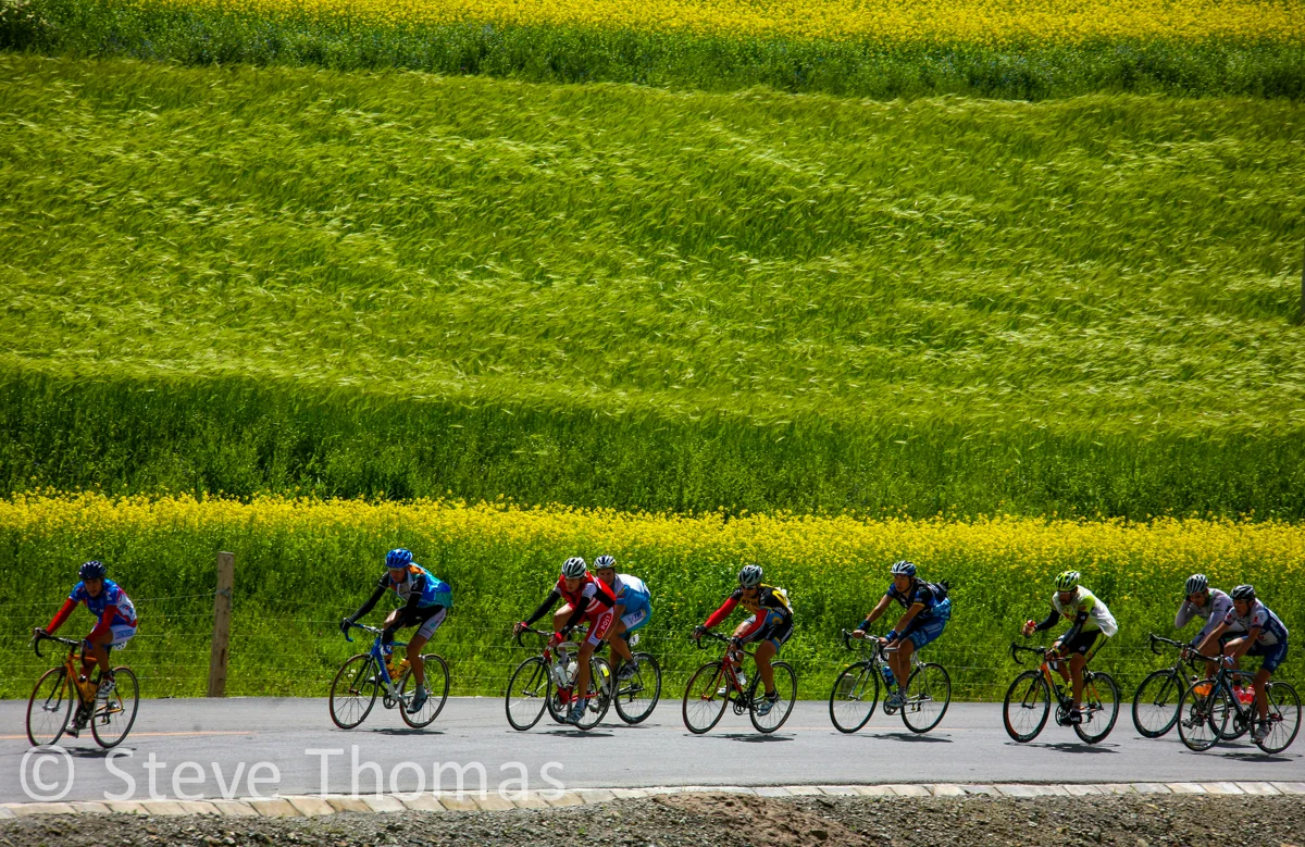 IMG_0388 copy2.jpg
