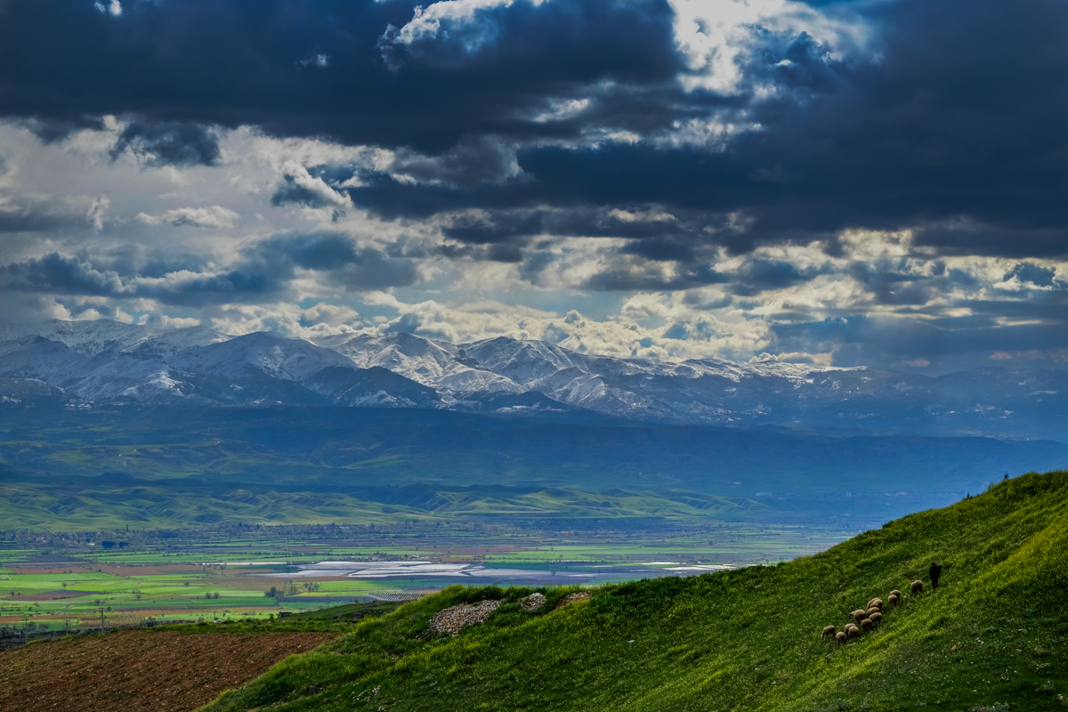 Tur20150127_0062.jpg