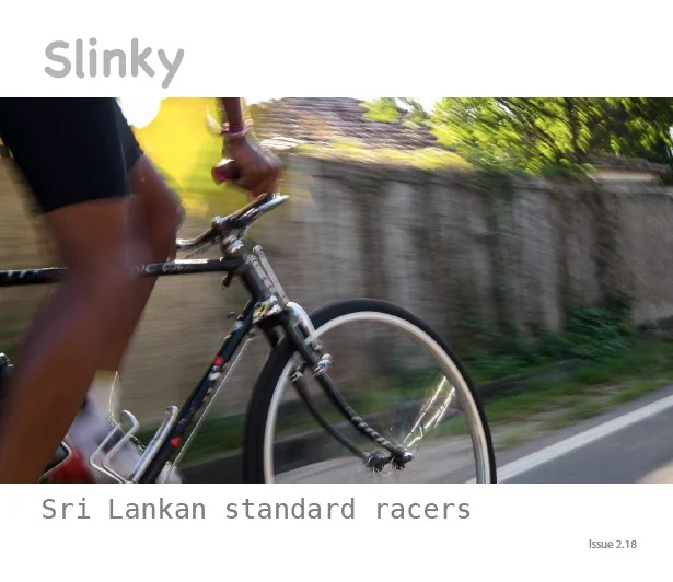 sl2 grab copy.jpg