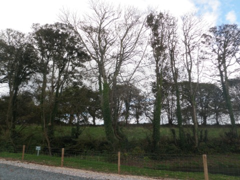 iphone-20121017104642-15.jpg