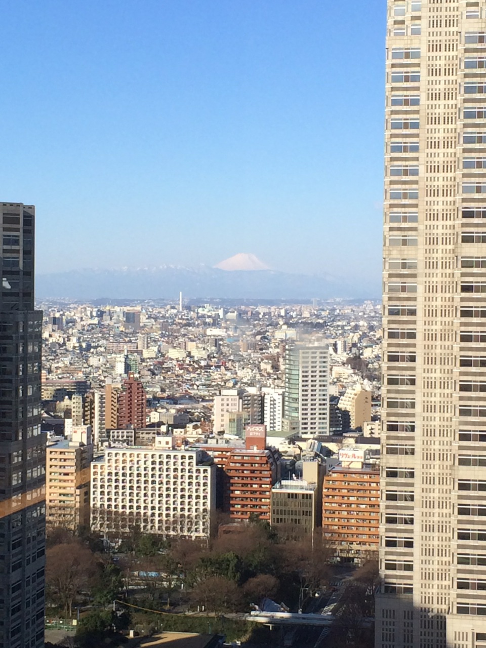 We were a little jet-lagged upon finally arriving at our hotel (after landing in Tokyo at 5am!) but were pleasantly surprised to have this view of Mt. Fuji from our window!