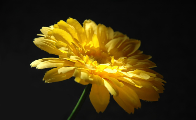 feng shui for fertility