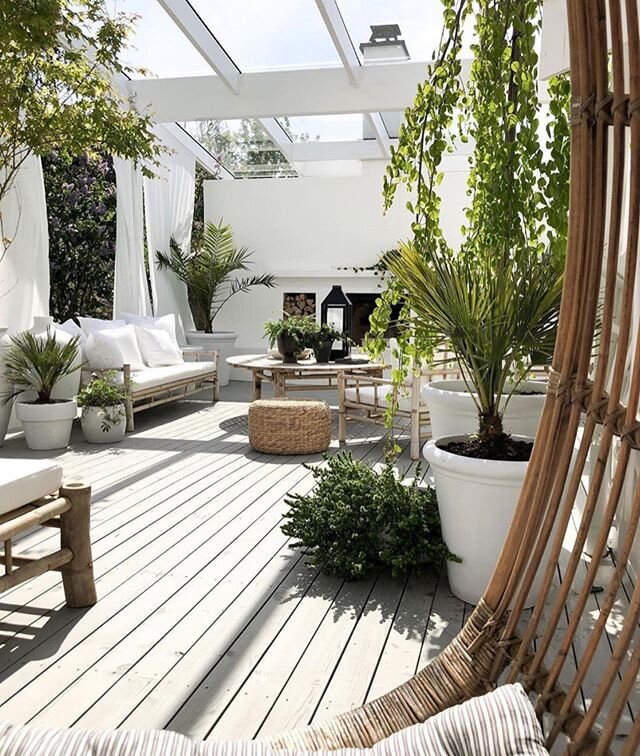 Feng Shui &amp; Plants - Plants generally represent the element wood. However, depending on the shape of the plant they sub-divide into the other elements, for example, if a plant is very pointed it will relate more to the element &lsquo;fire&rsquo; 