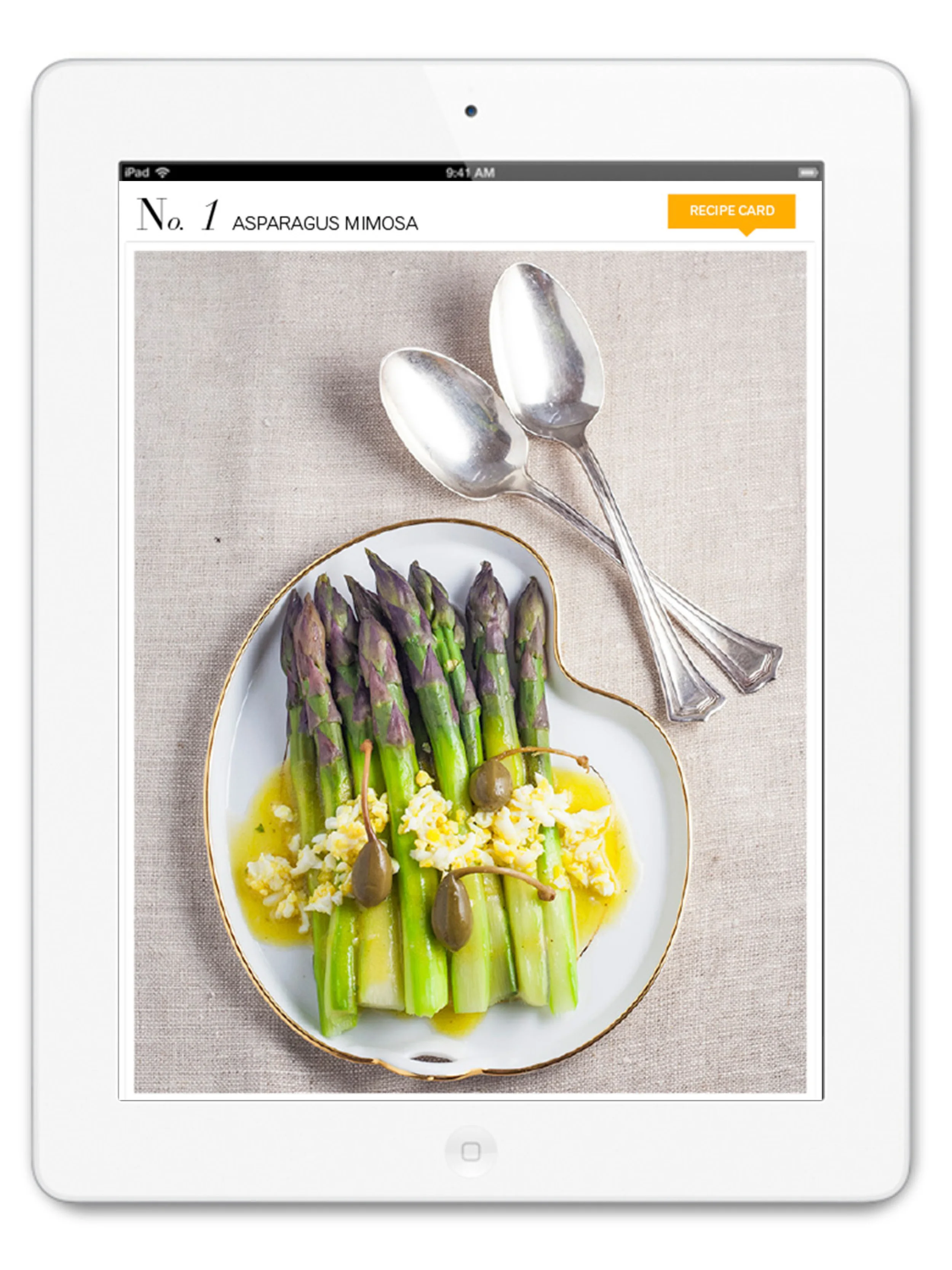 ipadapppreview-recipe.jpg