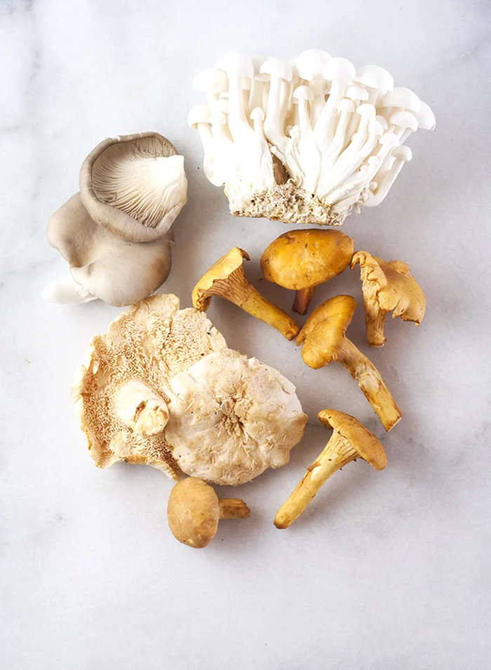 mushrooms.jpg