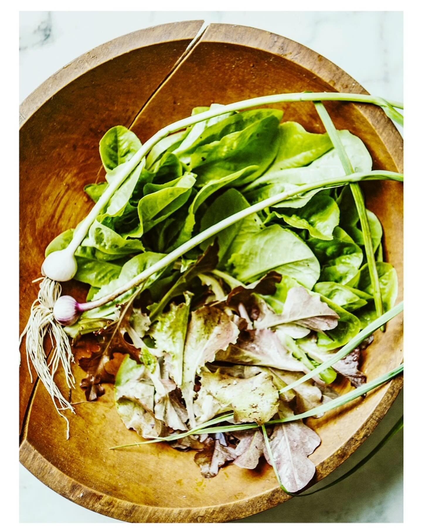 BEAUTIFUL FOOD BY DESIGN | Look what the rain brought- Spring greens &amp; garlic. 

TAP BIO FOR RECIPES 
https://bijouxs.com/category/recipes/
.
.
.
#garden #spring #lettuce #greengarlic #homegrown 
#bijouxslittlejewels #recipies #foodblogger  #beau