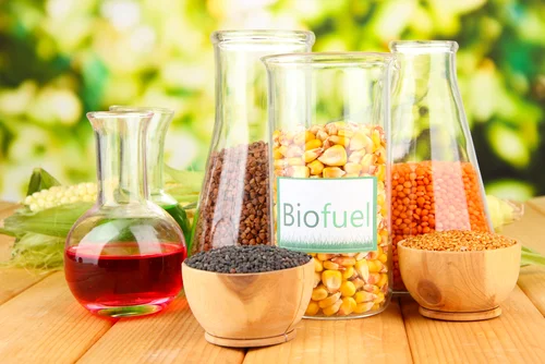 BiofuelTypes154759637.jpg