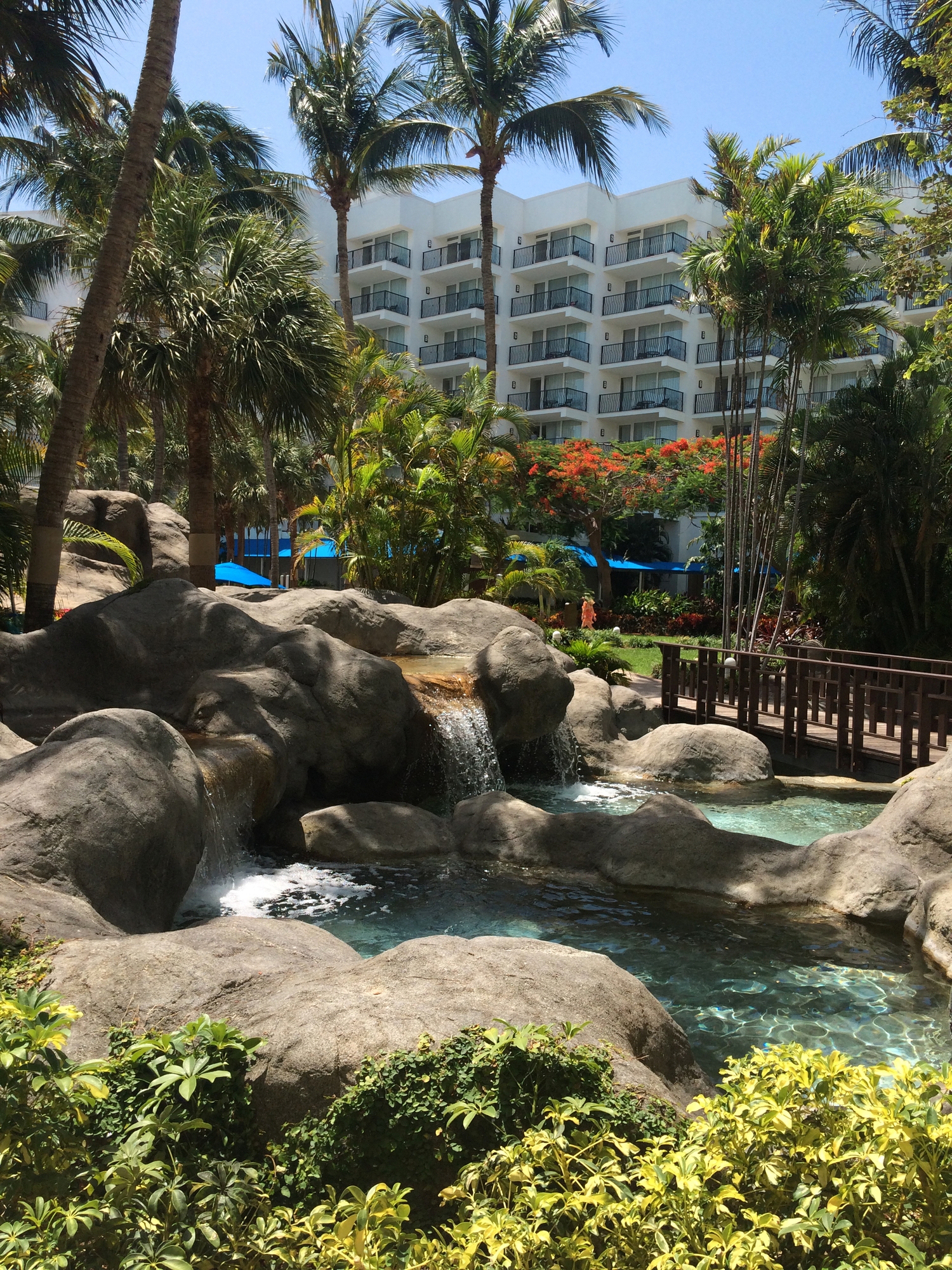 Beautiful view of the pool and waterfall in the Marriott