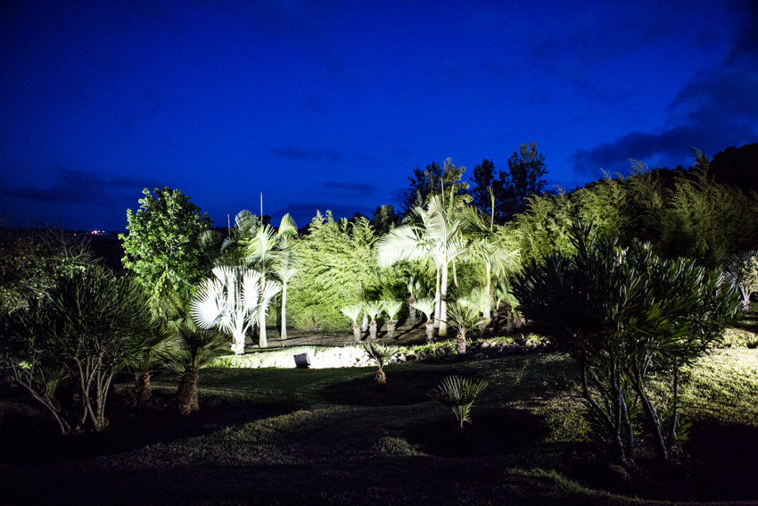 Arbres&Bambous.Nuit.Cr-Sife.ElAmine-141692.jpg