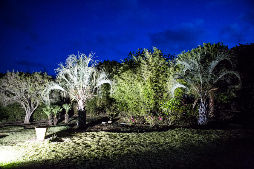 Arbres&Bambous.Nuit.Cr-Sife.ElAmine-141694.jpg