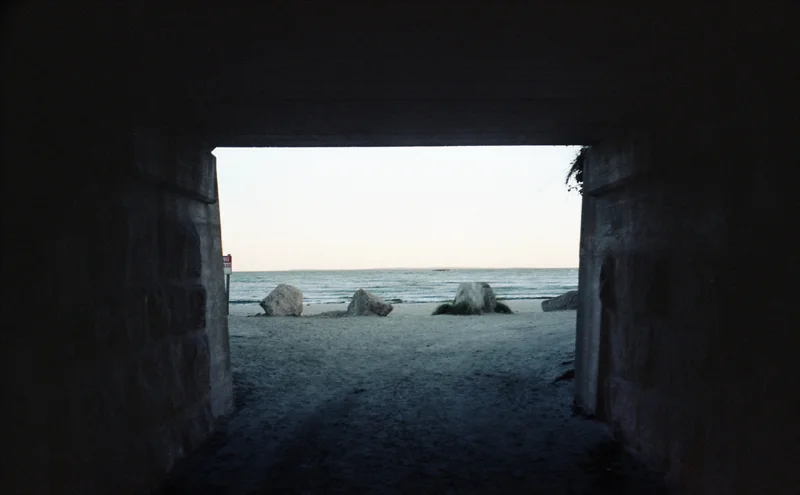 img442.jpg
