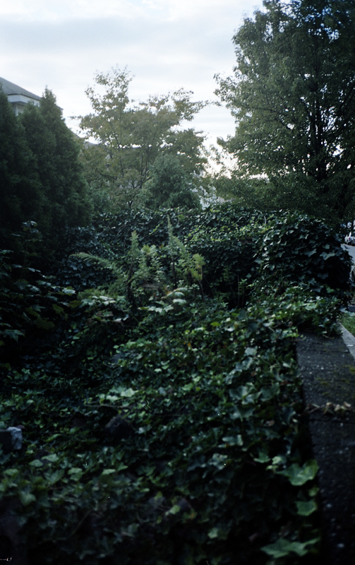 img455.jpg