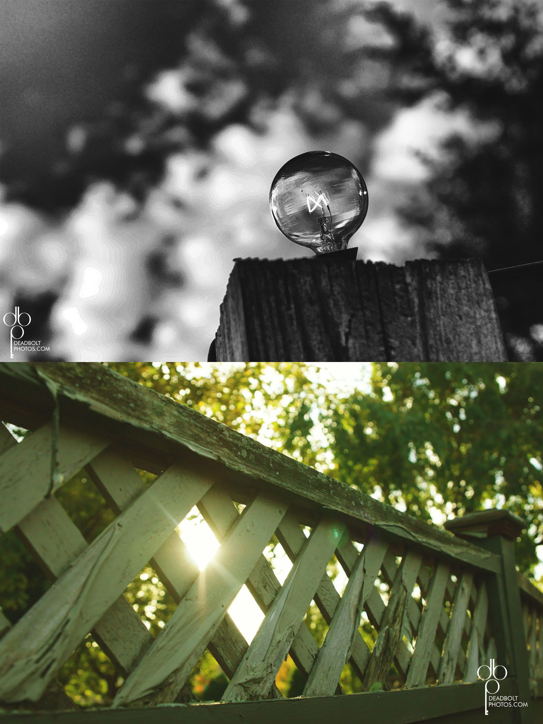 Untitled-011.jpg