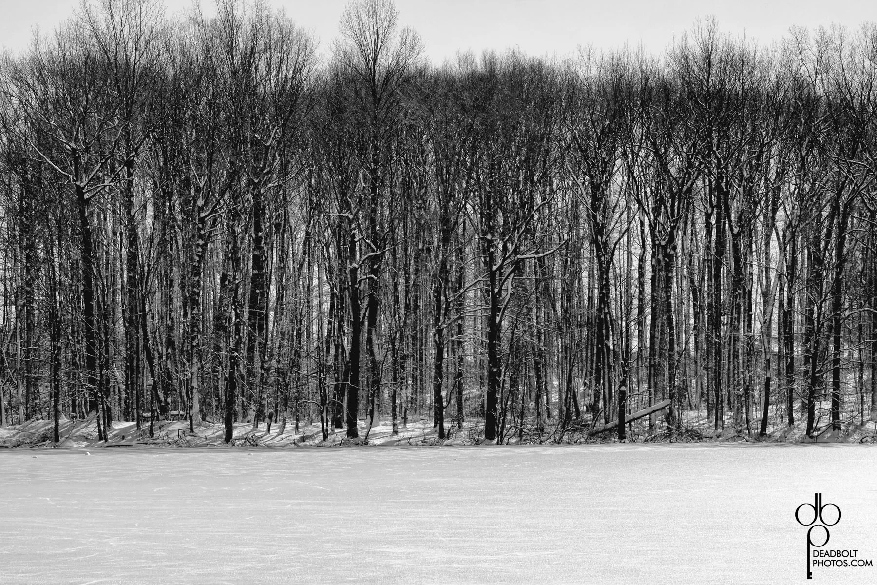 New Brunswick, NJ