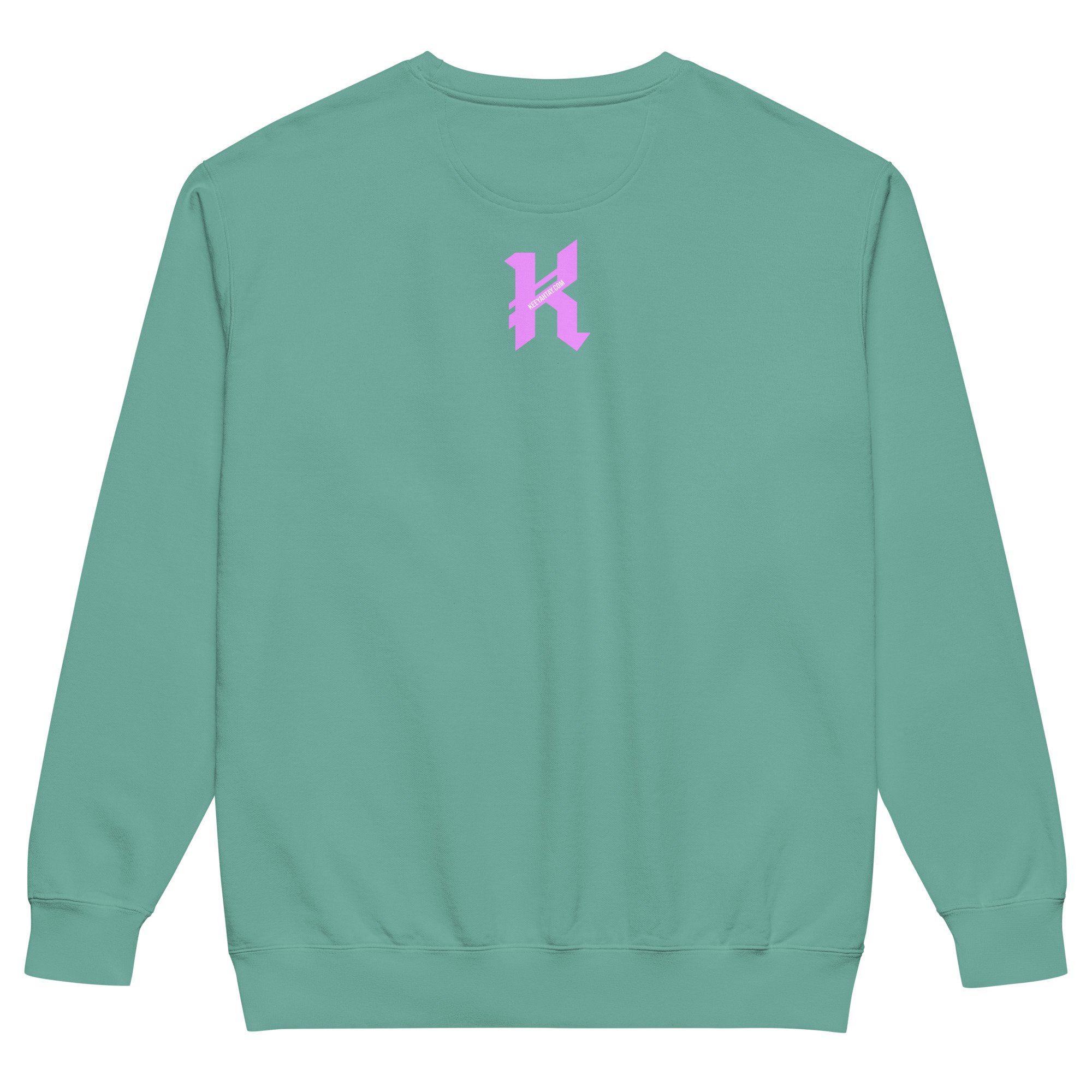 unisex-garment-dyed-sweatshirt-seafoam-back-693c6d957d9ee.jpg