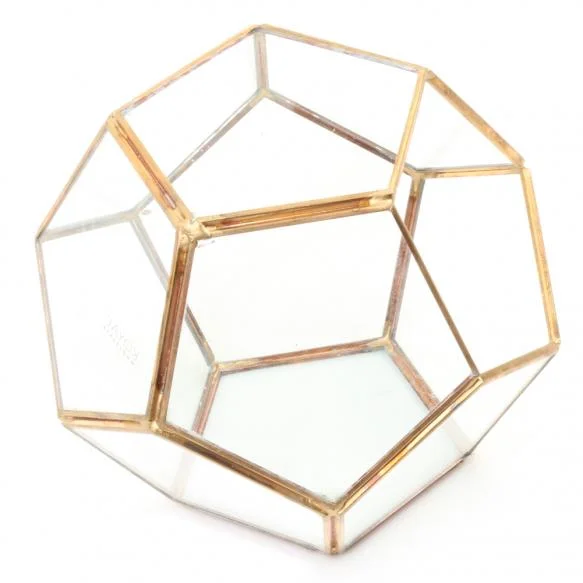 Terrarium - Pentagon.jpg