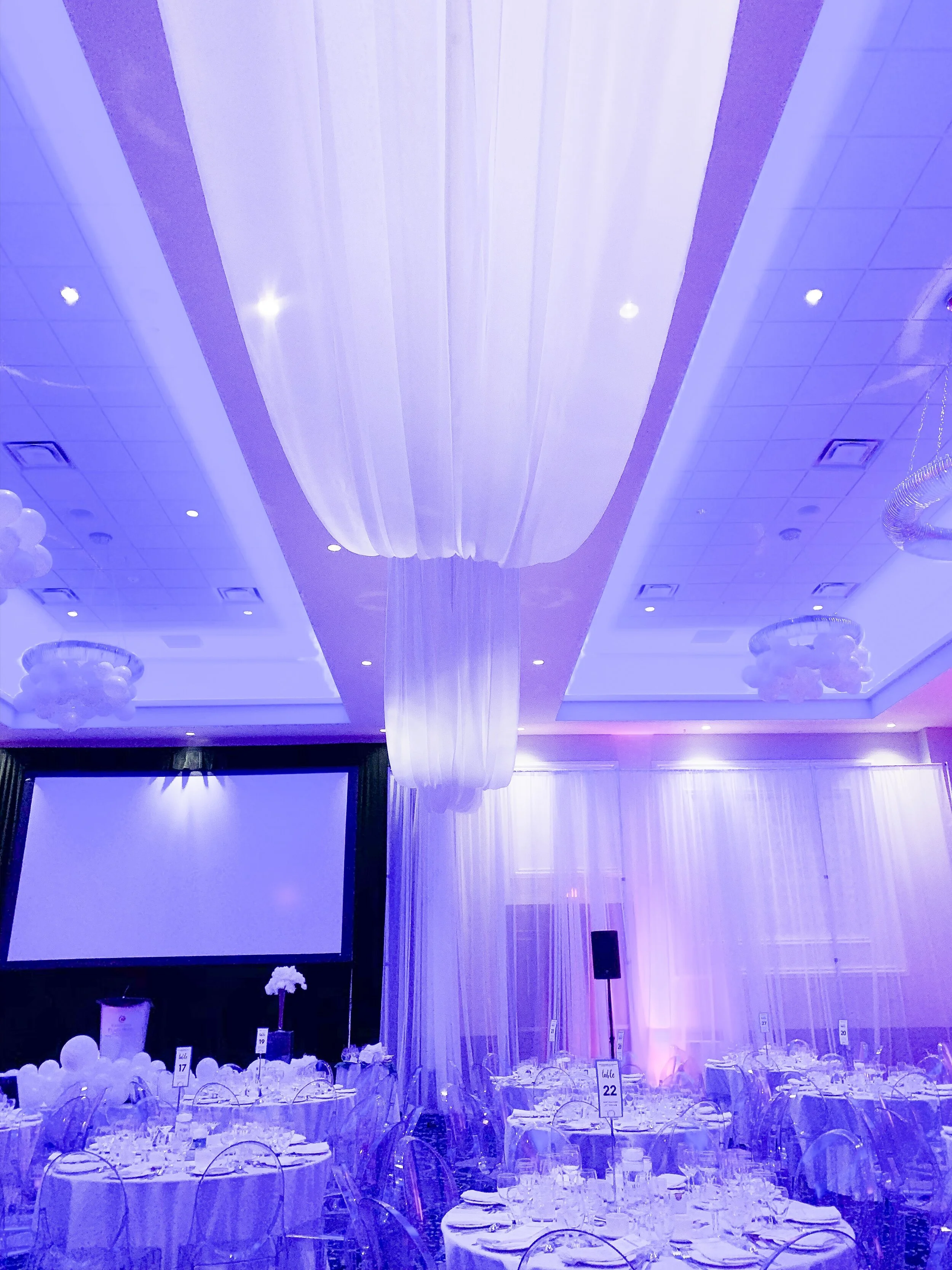 Linear Ceiling Drape