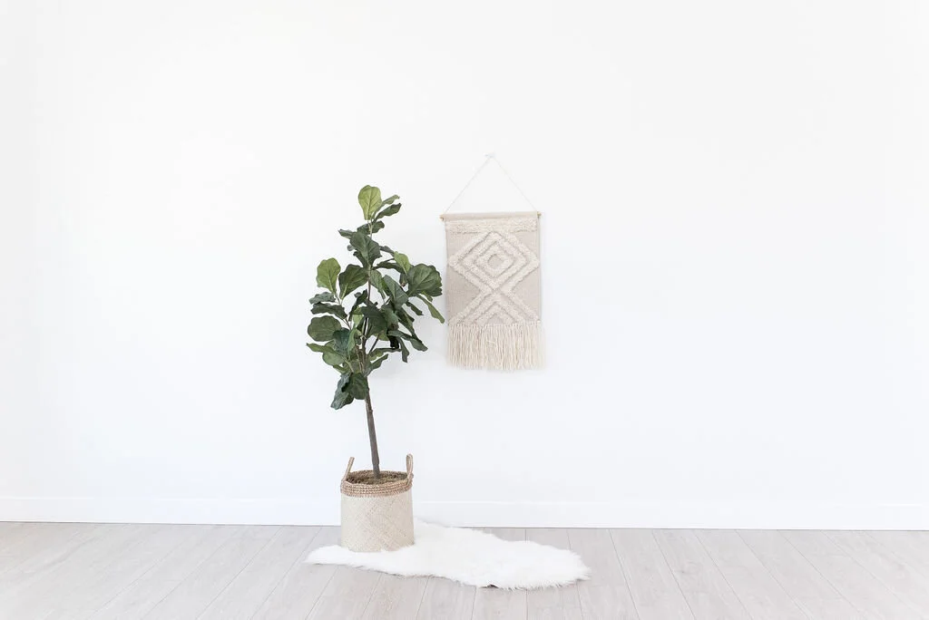 SpotlightEventsStudio-May2020-17.jpg
