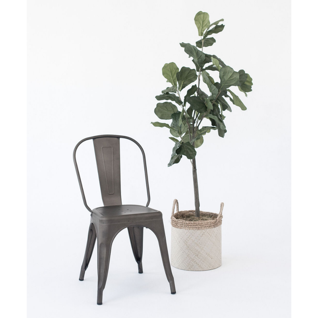 Fiddle Leaf Fig Tree-2.png