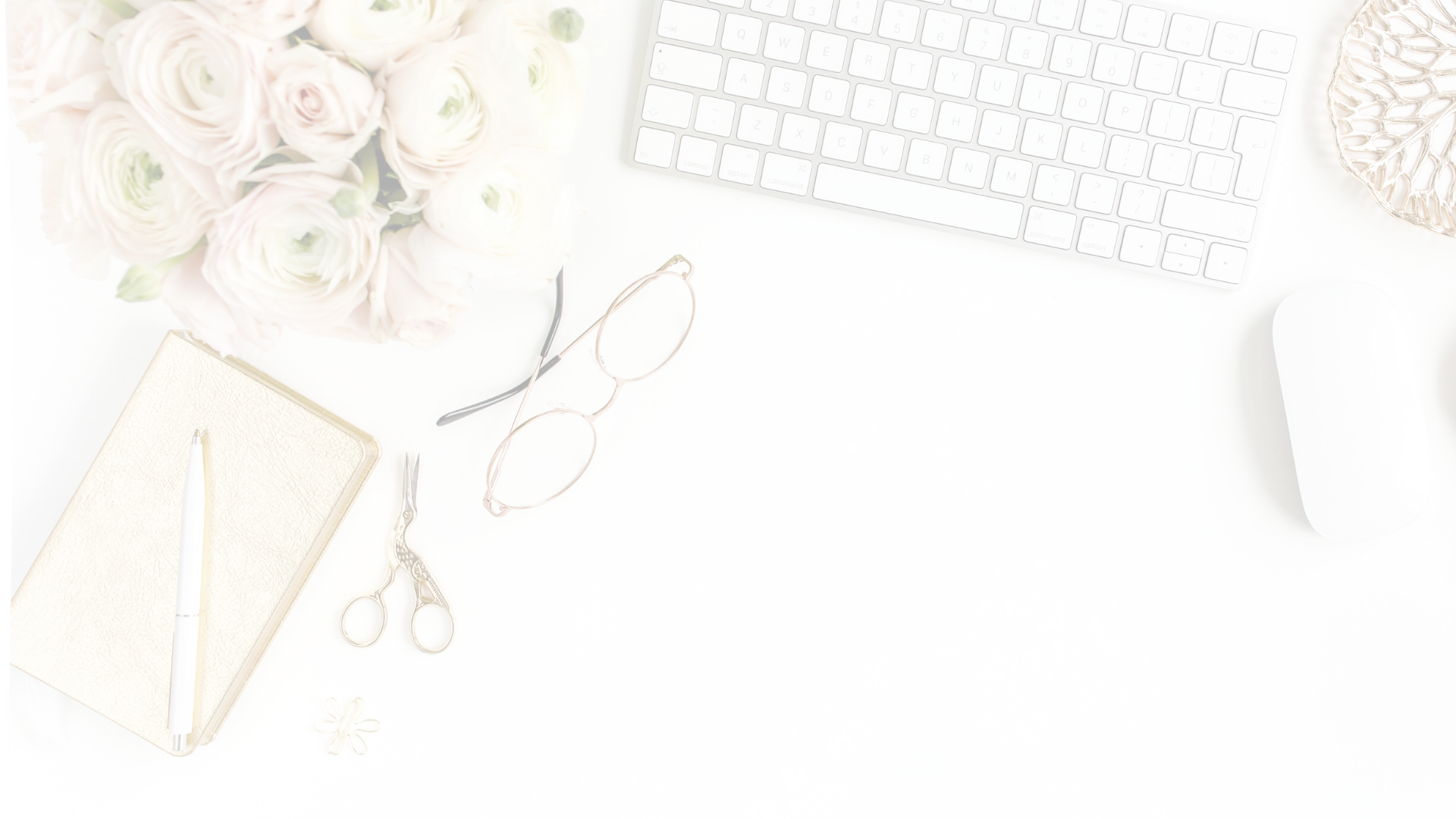 Website Featured Images (2).png