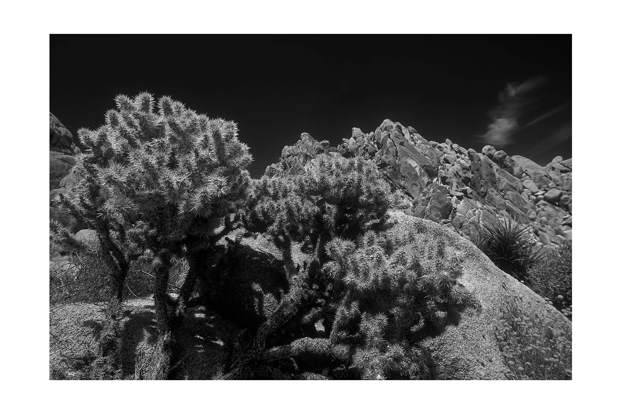 29 Palms, CA