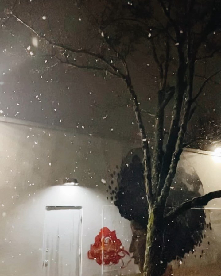 wintery holiday things.

#beforeitstoolate
