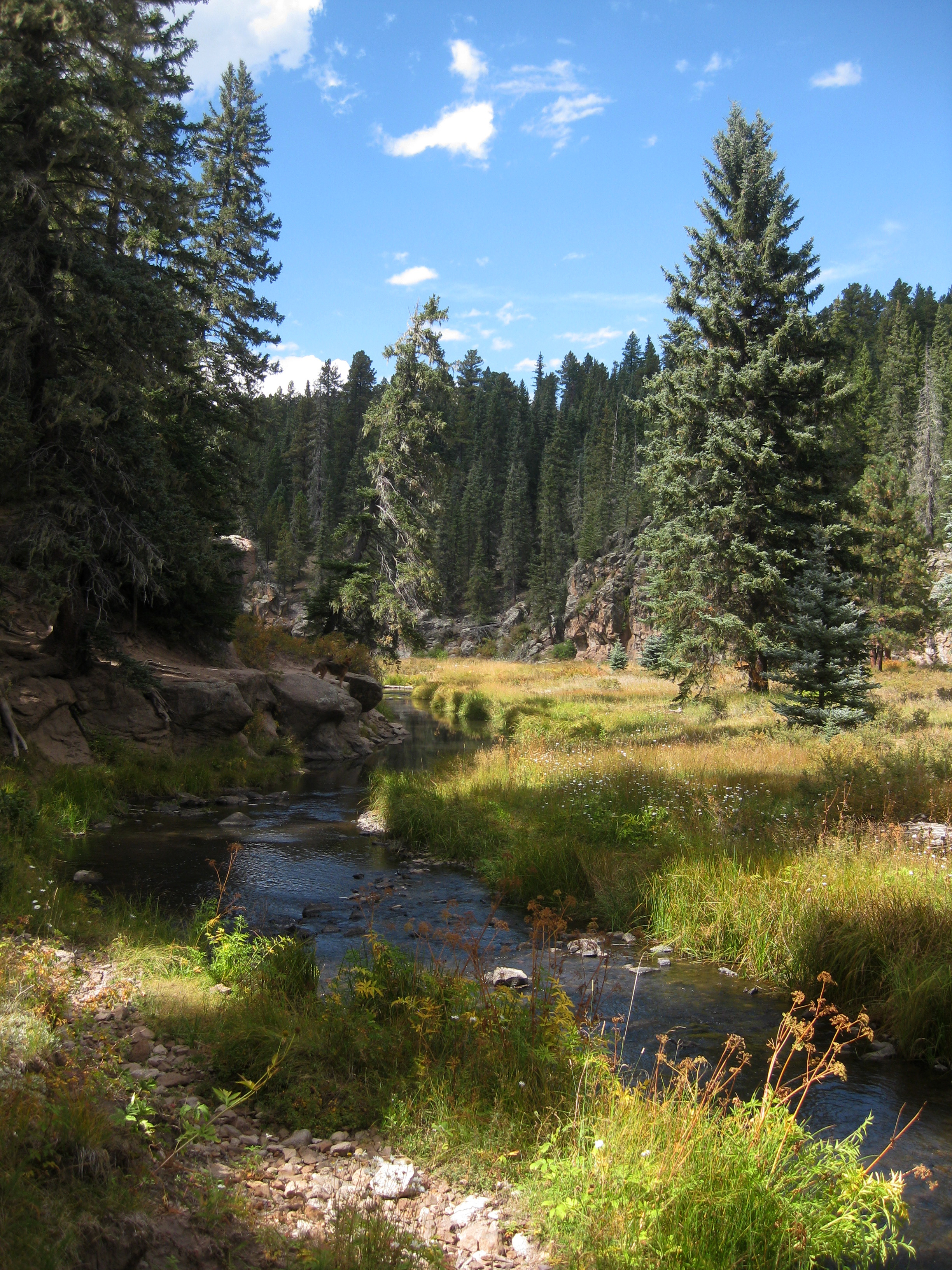 Photo by me - Jemez NM