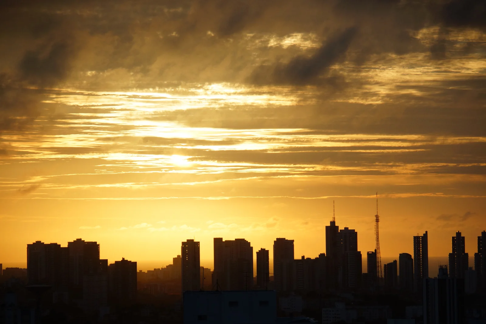 ssa_skyline.JPG