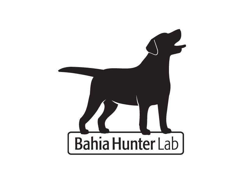 bahiahunter-01.jpg