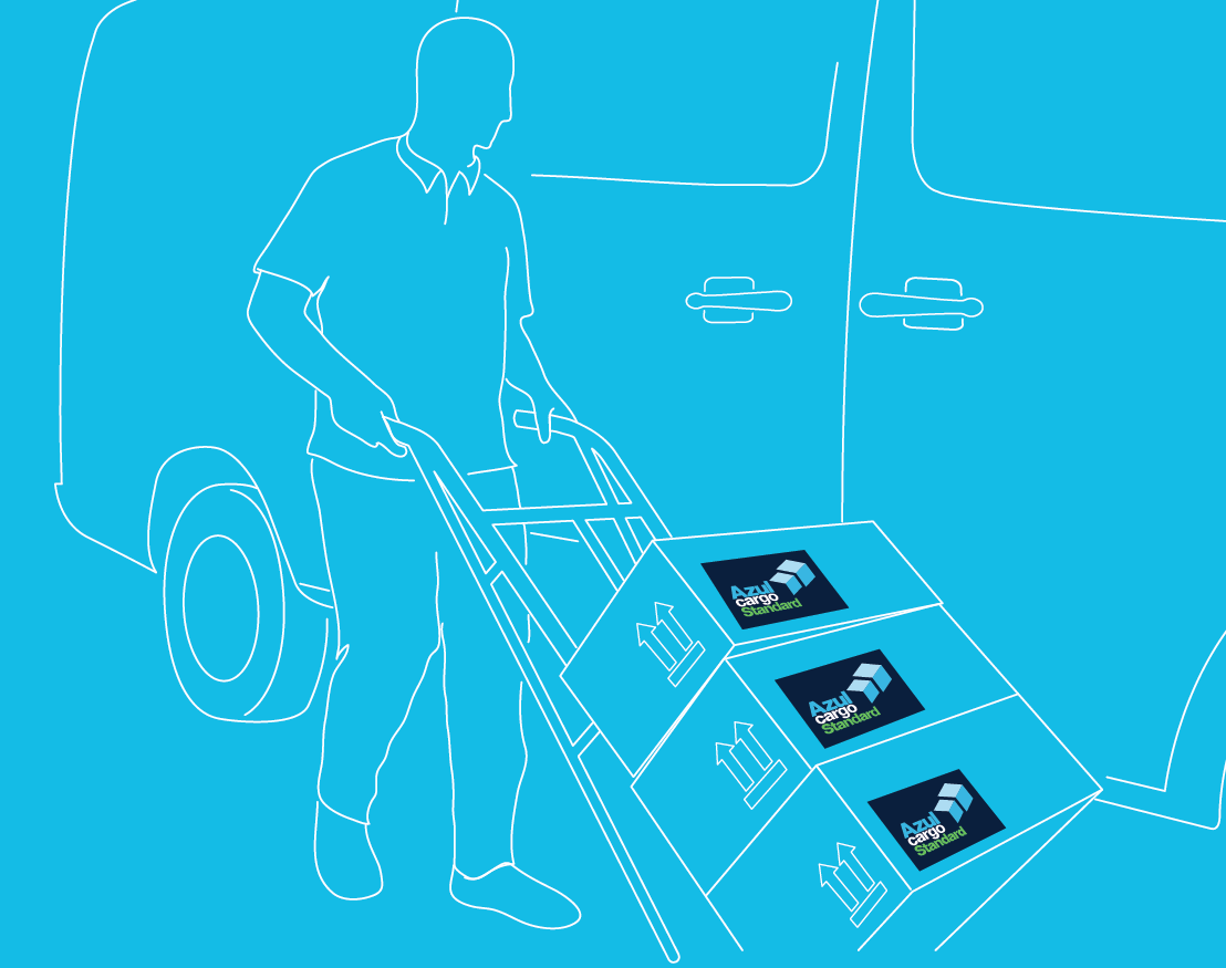 ilustra_cargo_1.png