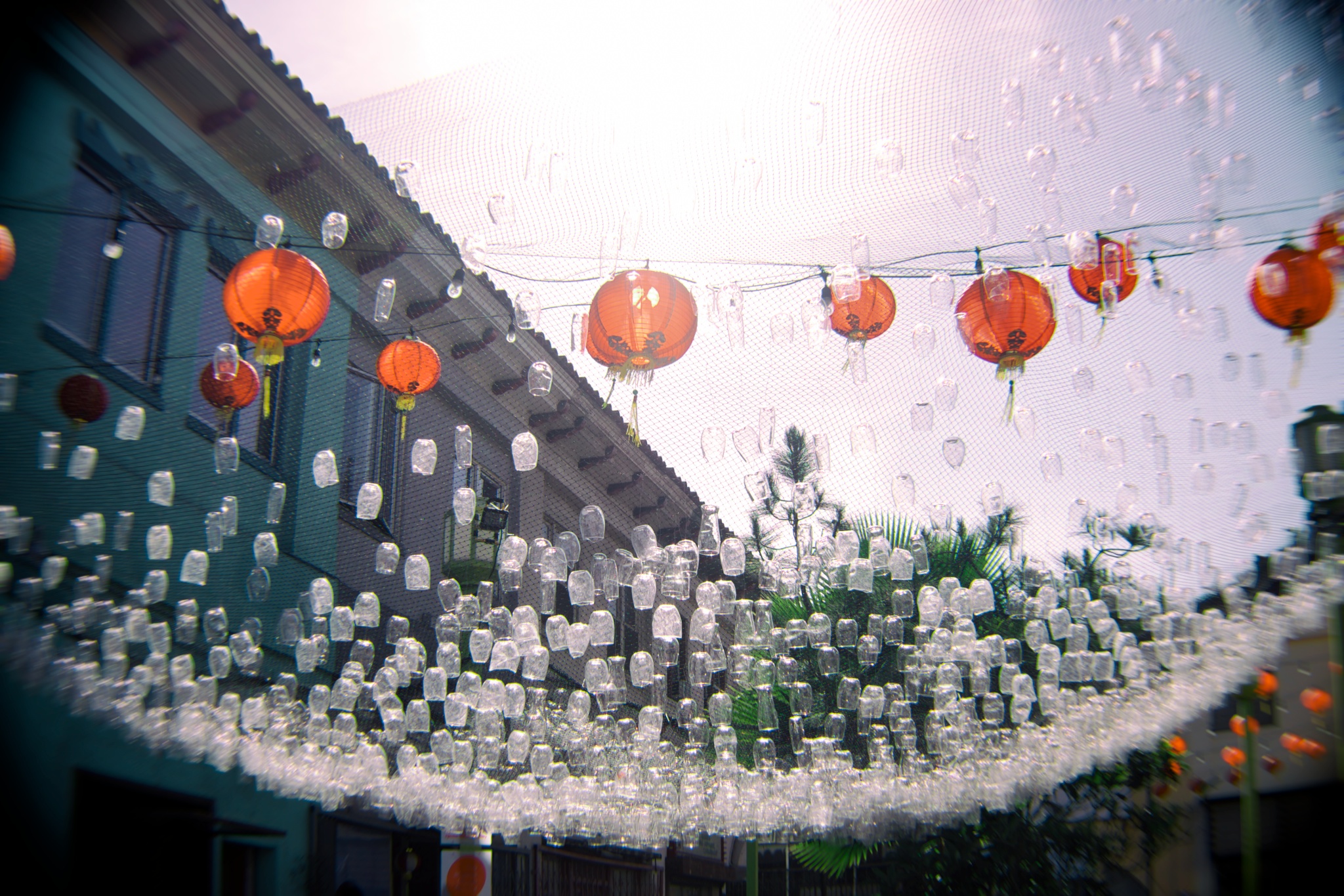 DSCF4163.jpg