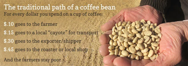 path-of-coffee-bean.jpg