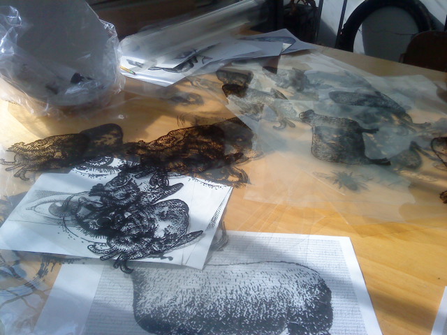 working on an installation project for Phantom Limb Company. 