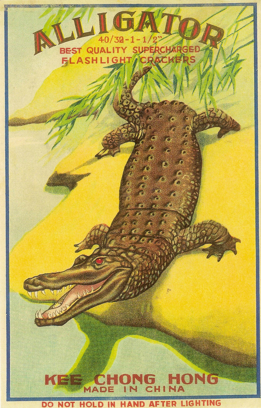 Alligator4030s.jpg