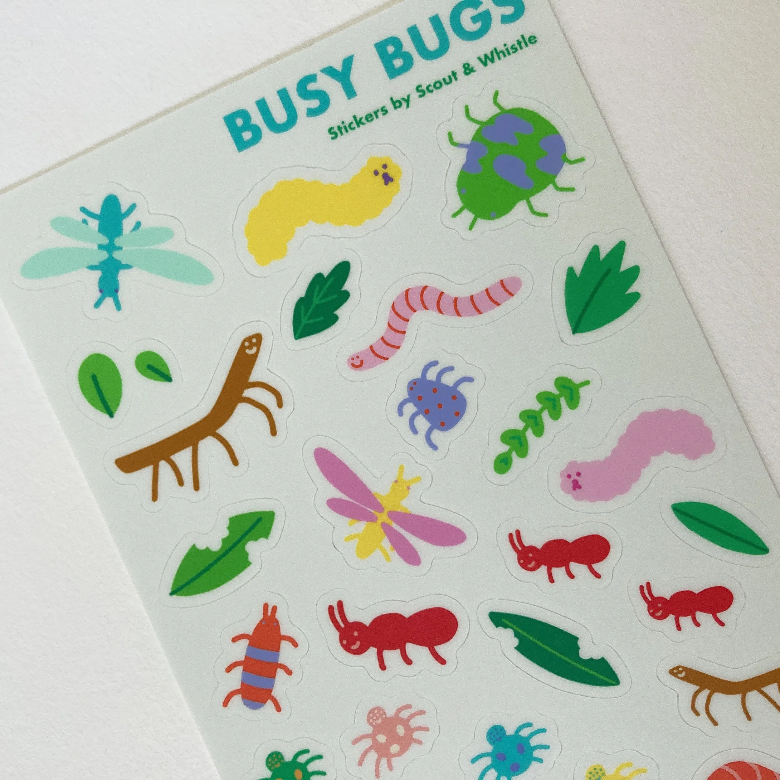 busy-bugs_close-up.jpg
