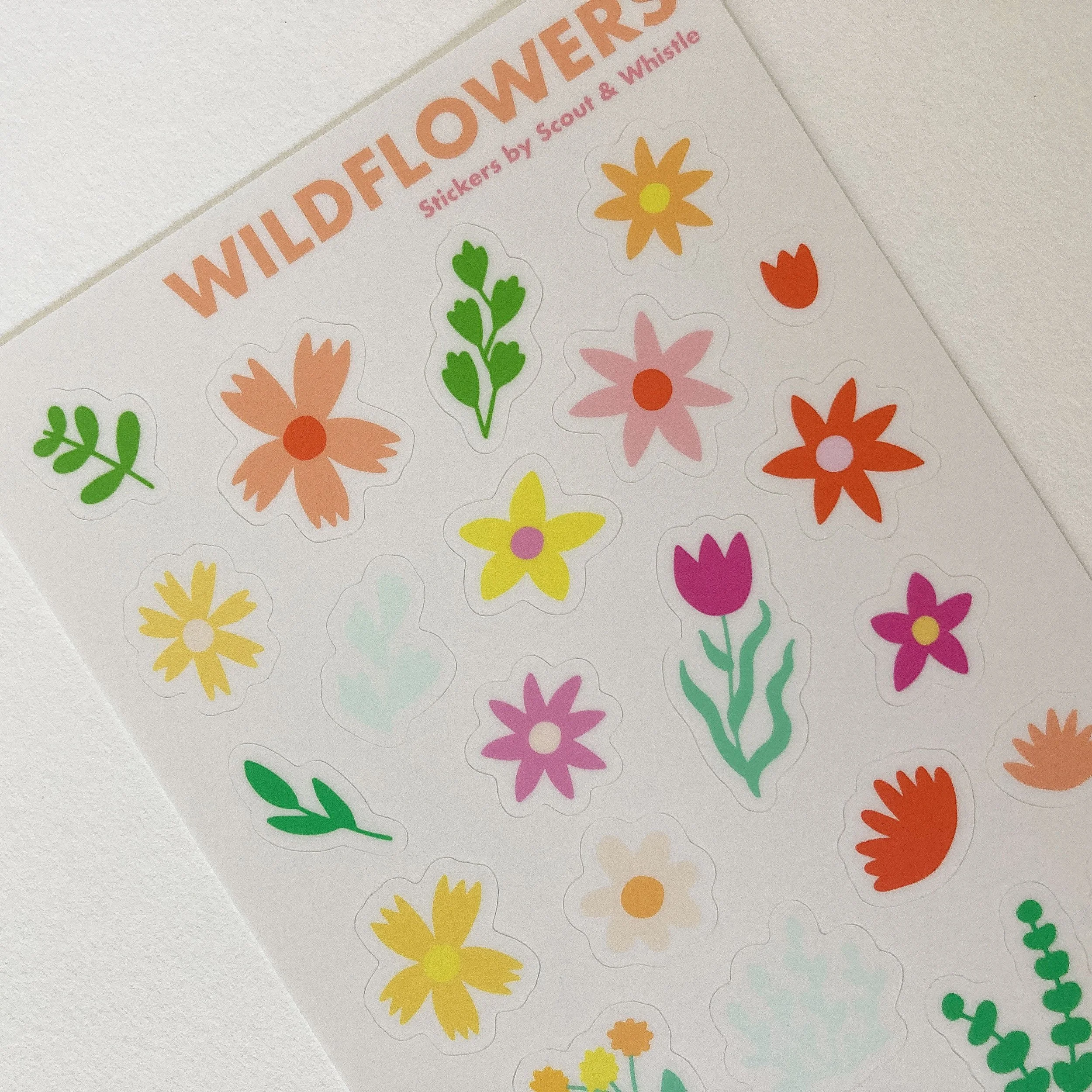 wildflower_close-up.jpg